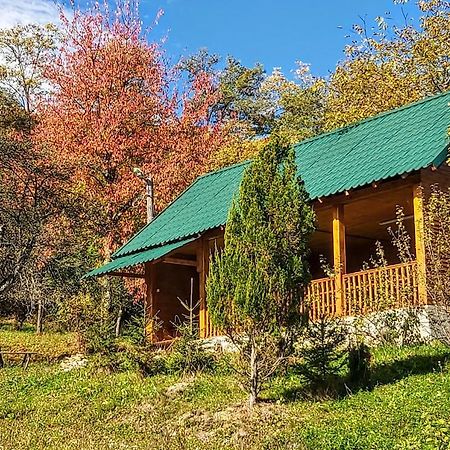 Pensiunea Agroturistica Piscul Soarelui Cîmpulung Exterior foto