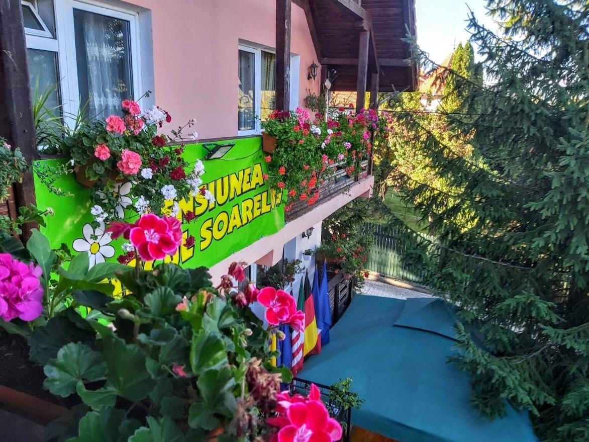 Pensiunea Agroturistica Piscul Soarelui Cîmpulung Exterior foto