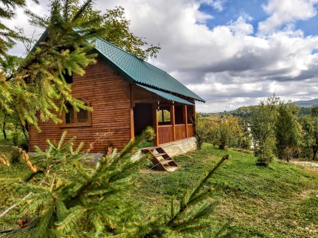 Pensiunea Agroturistica Piscul Soarelui Cîmpulung Exterior foto