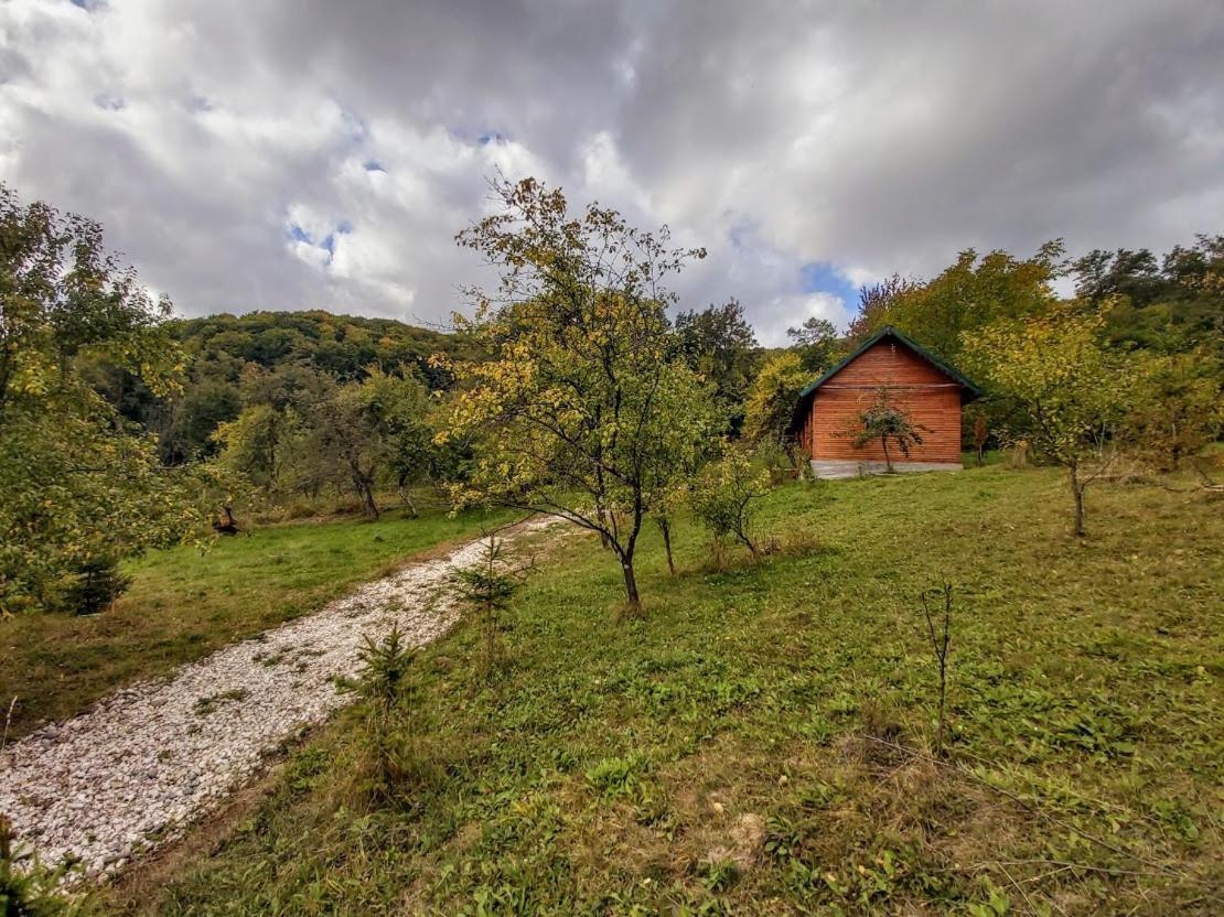 Pensiunea Agroturistica Piscul Soarelui Cîmpulung Exterior foto