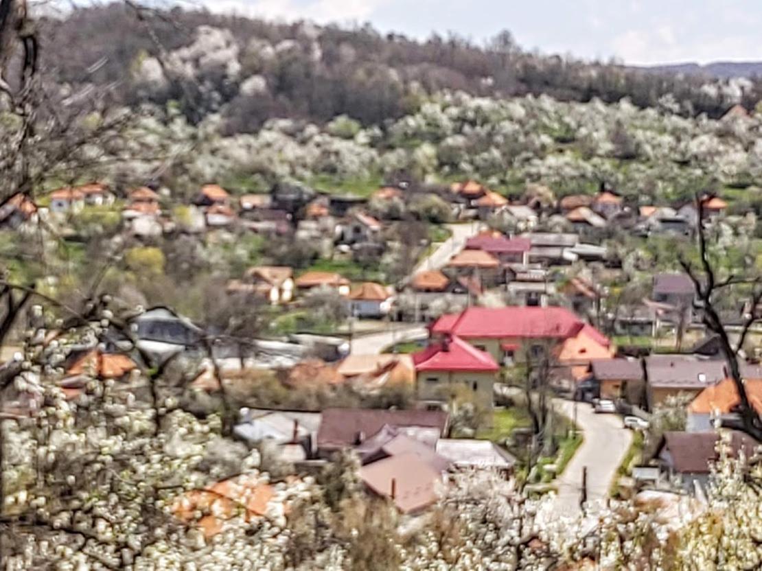Pensiunea Agroturistica Piscul Soarelui Cîmpulung Exterior foto