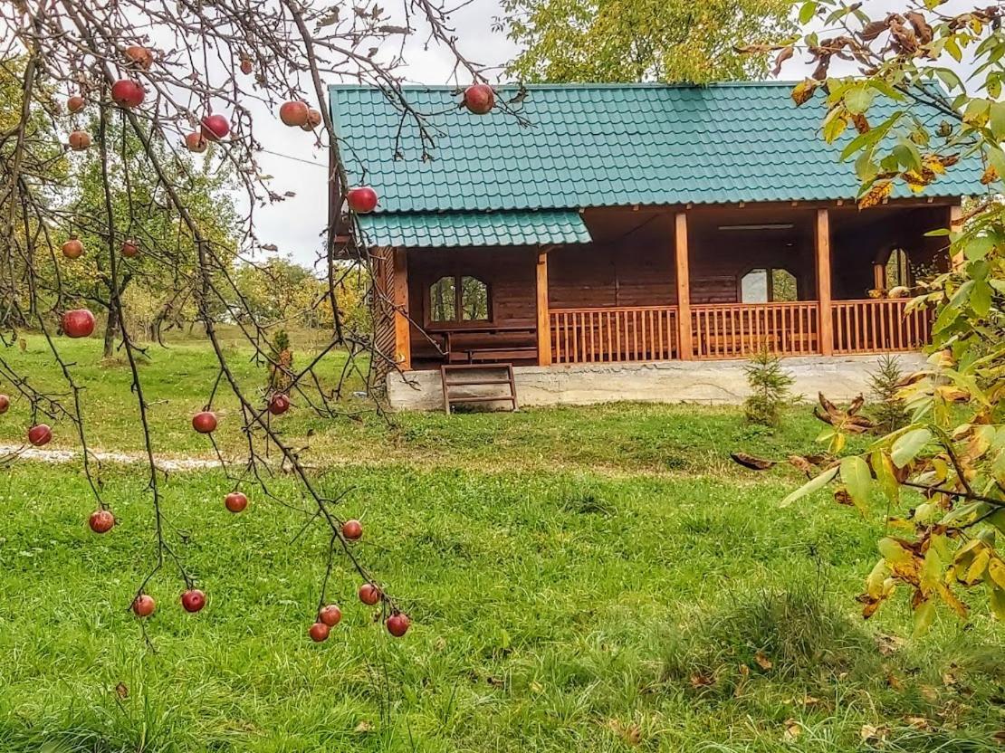 Pensiunea Agroturistica Piscul Soarelui Cîmpulung Exterior foto