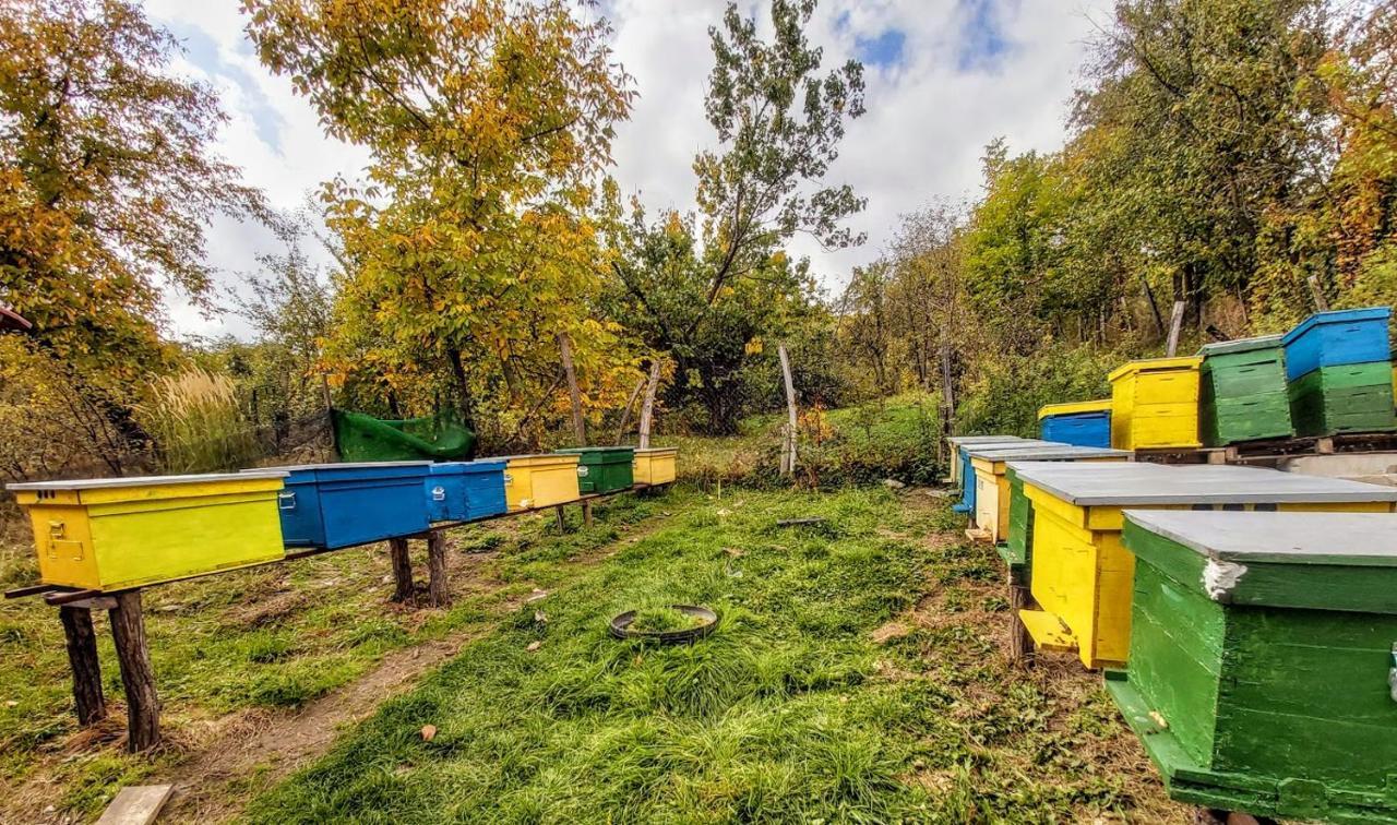 Pensiunea Agroturistica Piscul Soarelui Cîmpulung Exterior foto