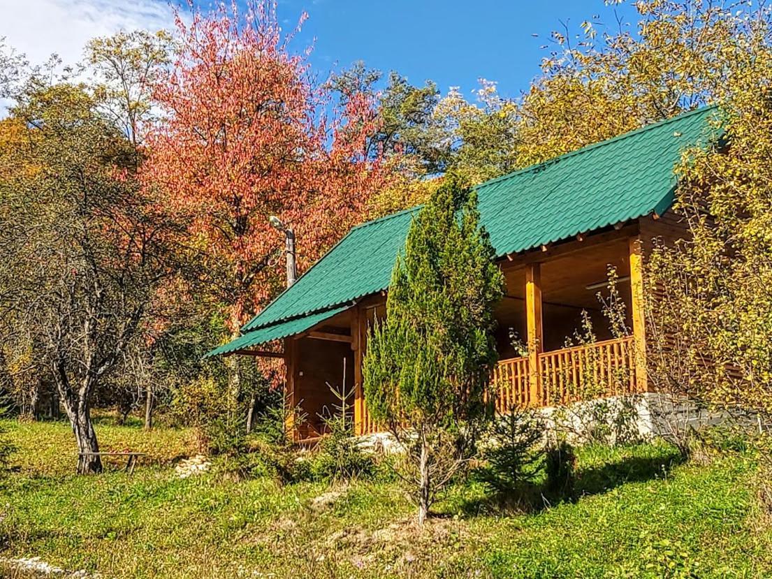 Pensiunea Agroturistica Piscul Soarelui Cîmpulung Exterior foto