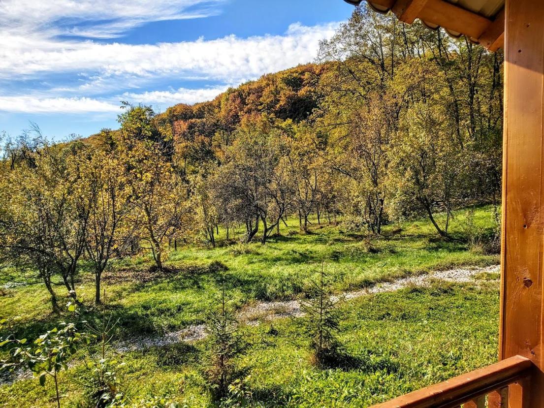 Pensiunea Agroturistica Piscul Soarelui Cîmpulung Exterior foto