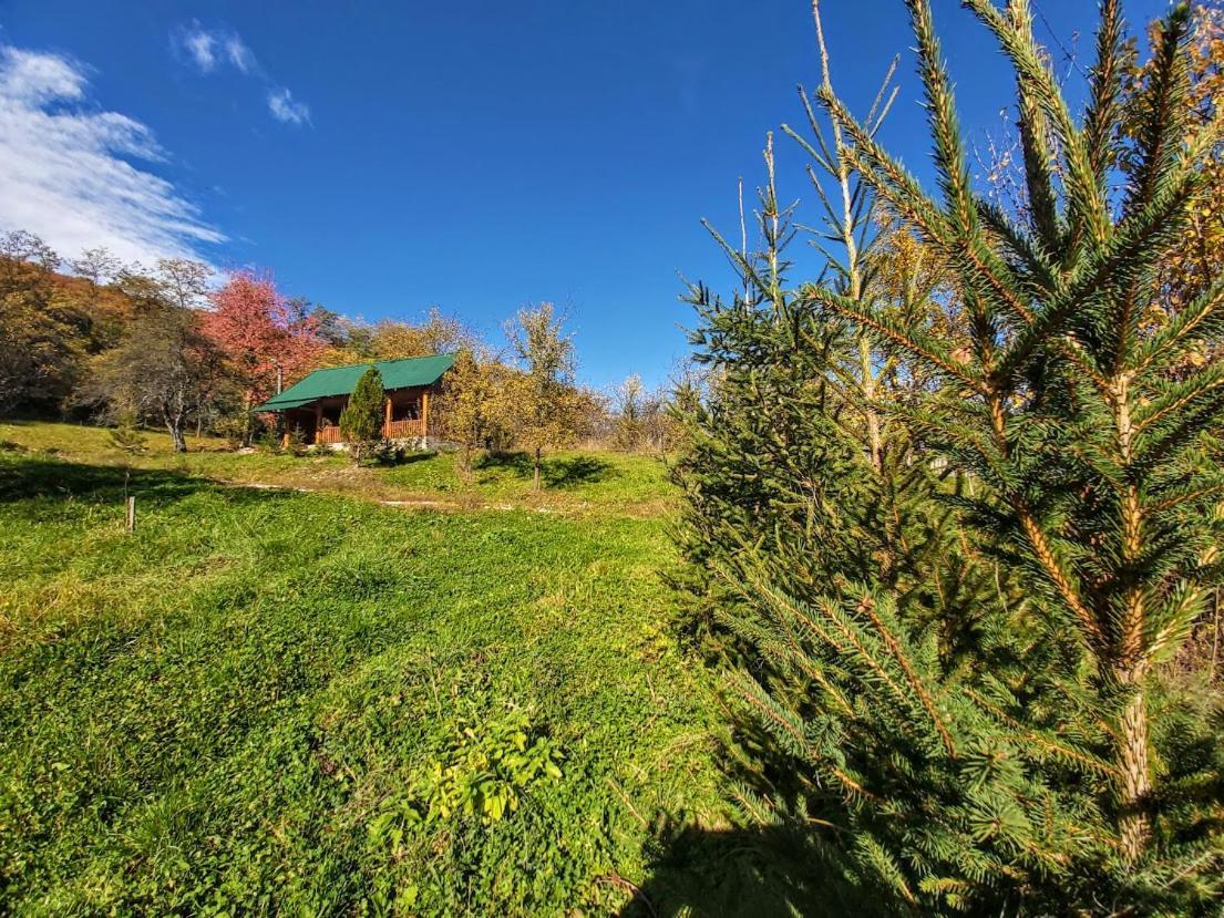 Pensiunea Agroturistica Piscul Soarelui Cîmpulung Exterior foto