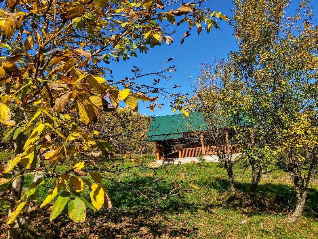 Pensiunea Agroturistica Piscul Soarelui Cîmpulung Exterior foto